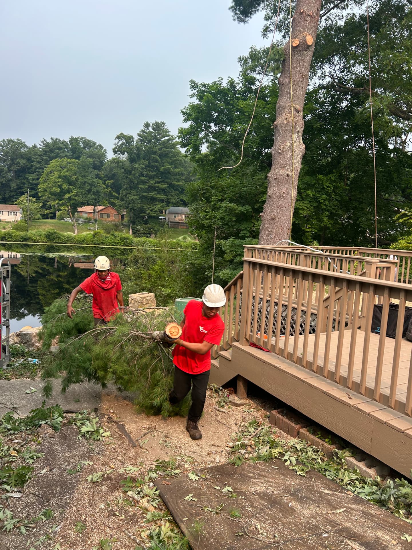 Crew hauling brush clear of a deck after a takedown
